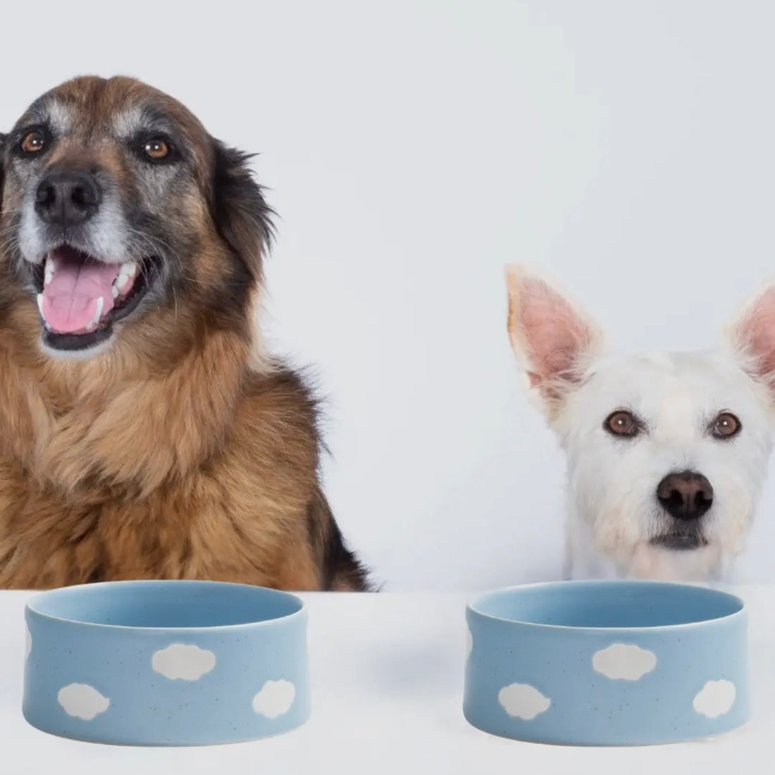 Set de 2 gamelles