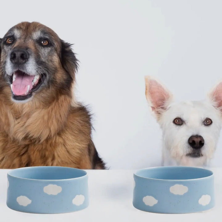 Set de 2 gamelles